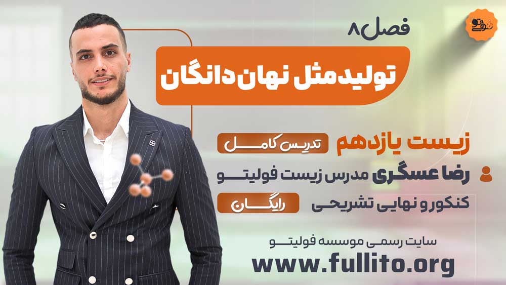 فصل 8 زیست یازدهم رضا عسگری تولید مثل نهان دانگان