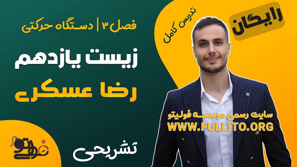 فصل 3 زیست یازدهم