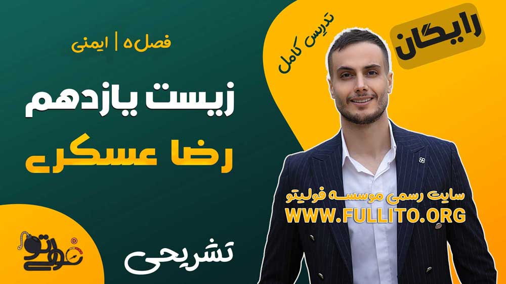 فصل پنج ایمنی رضا عسگری