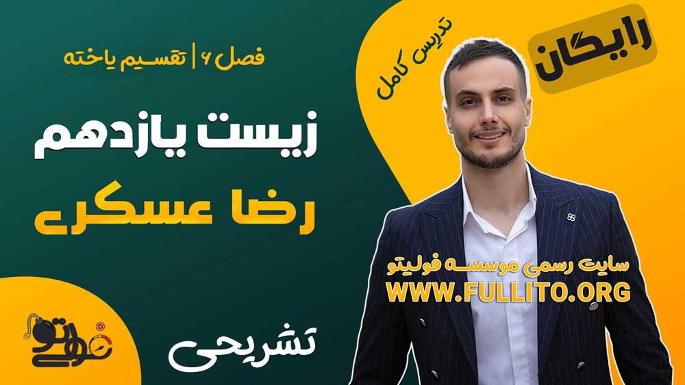 تقسیم یاخته زیست یازدهم فولیتو