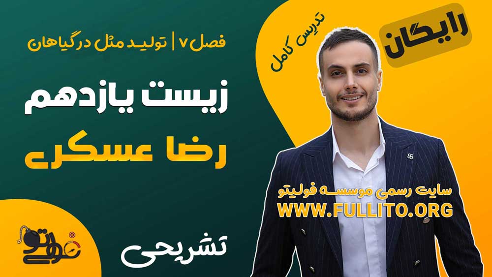 فصل 7تولید مثل زیست یازدهم