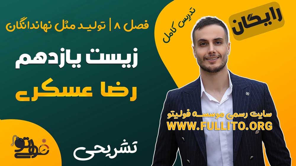 فصل 8 زیست یازدهم تولید مثل نهان دانگان